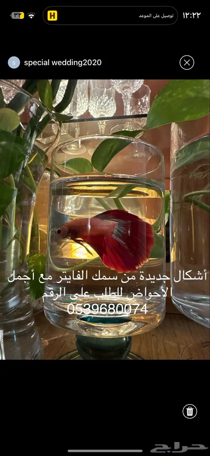 عروض و هدايا 13
