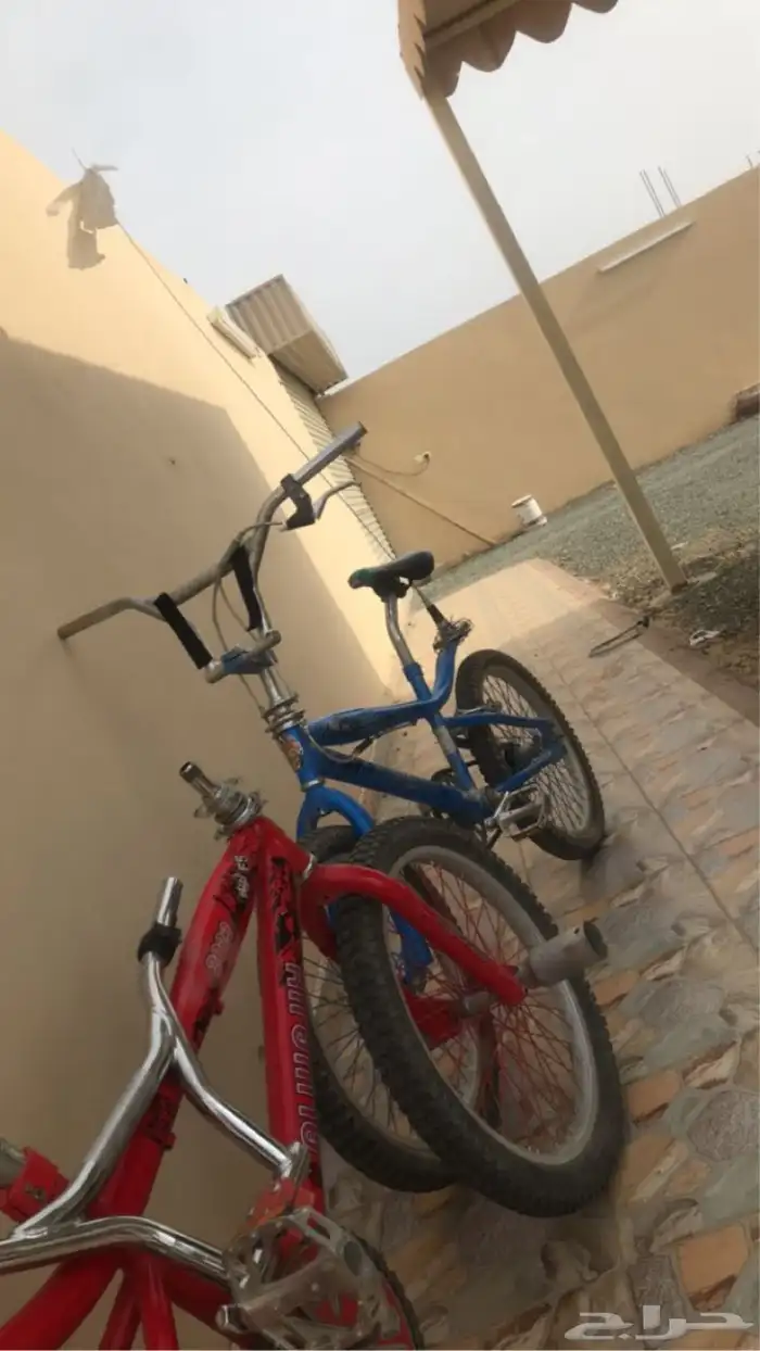 سيكل كفو جديد 3
