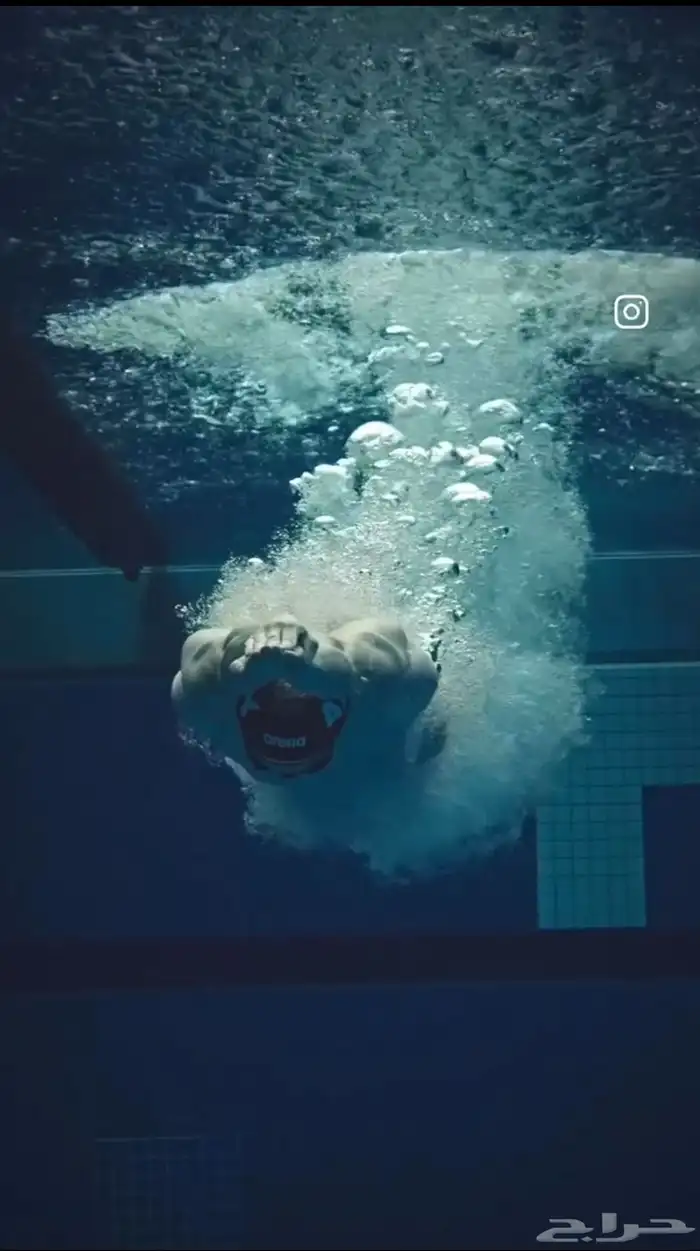 معلم سباحه للكبار والصغار 1