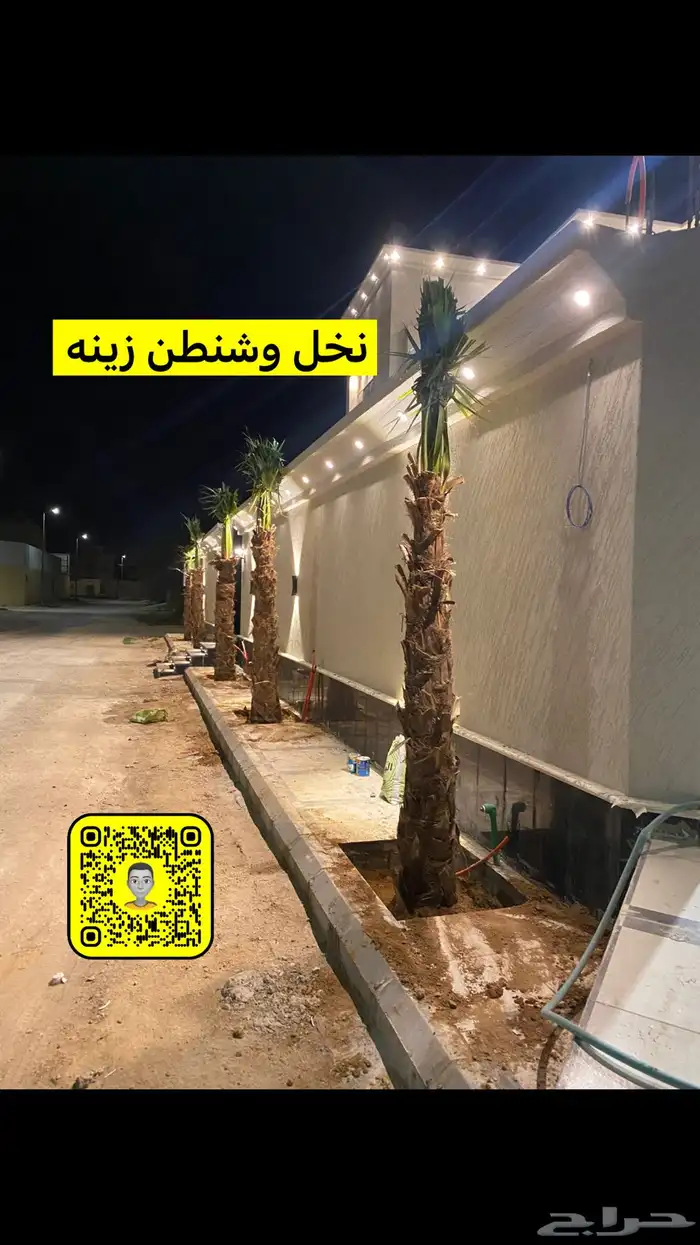 سلام عليكم يوجد لدينا نخل وشنطن زينه جميع المقست 3