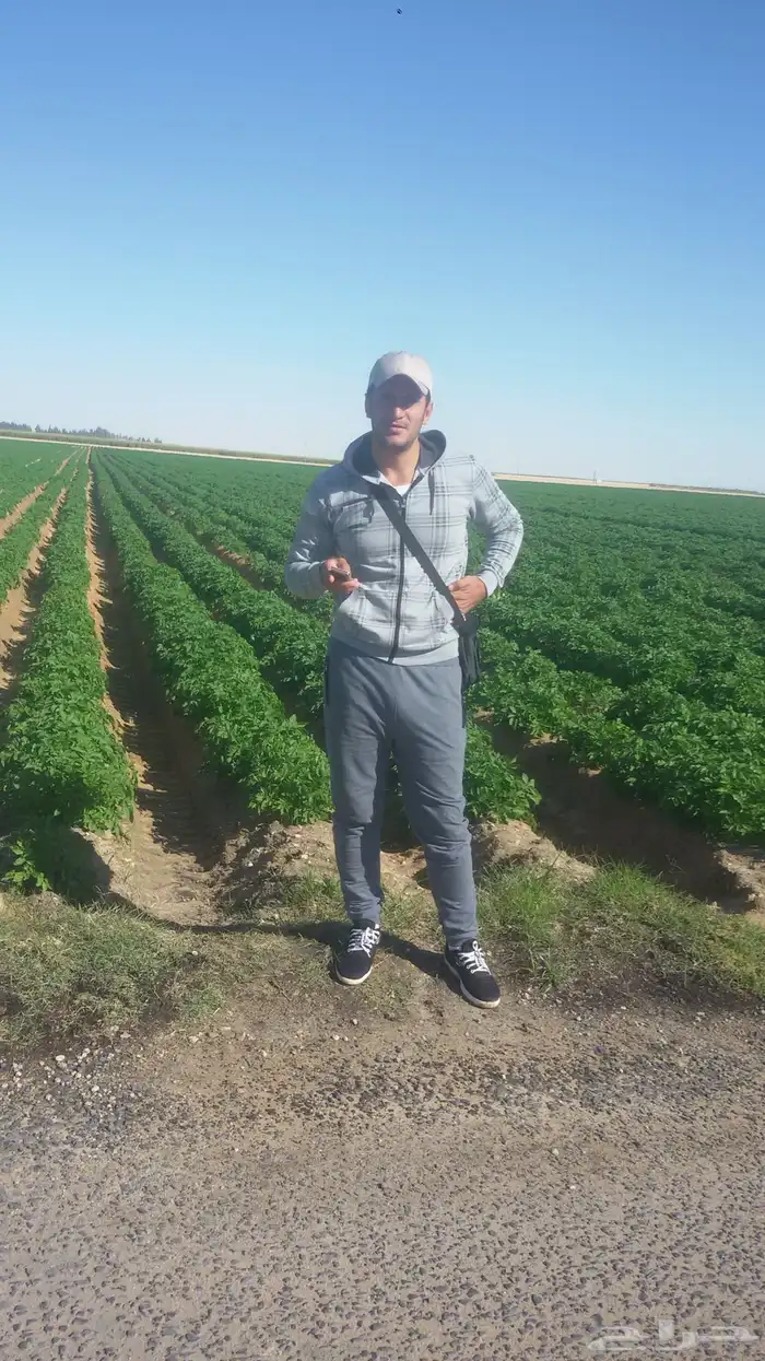 شارع يحي المعلمي 60 مع 80 48