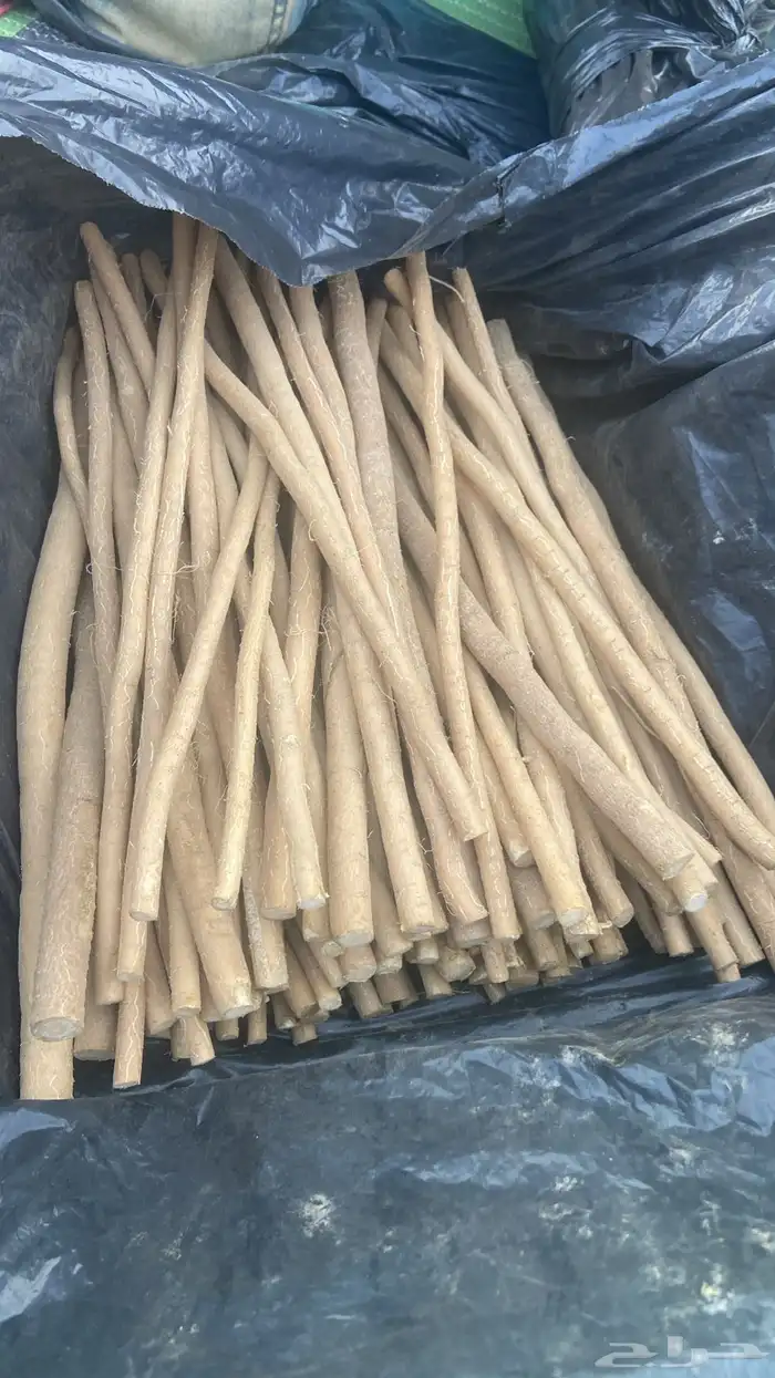 مساويك ملكي ابو نحش طازجه 0
