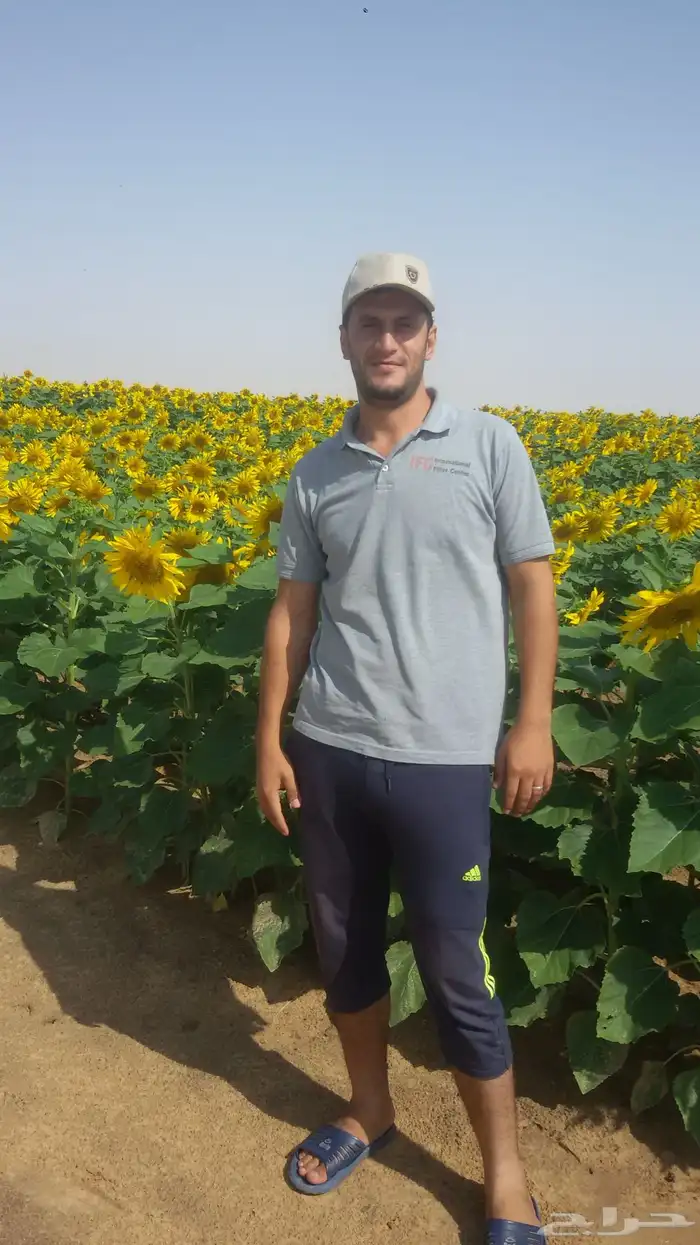 شارع يحي المعلمي 60 مع 80 49