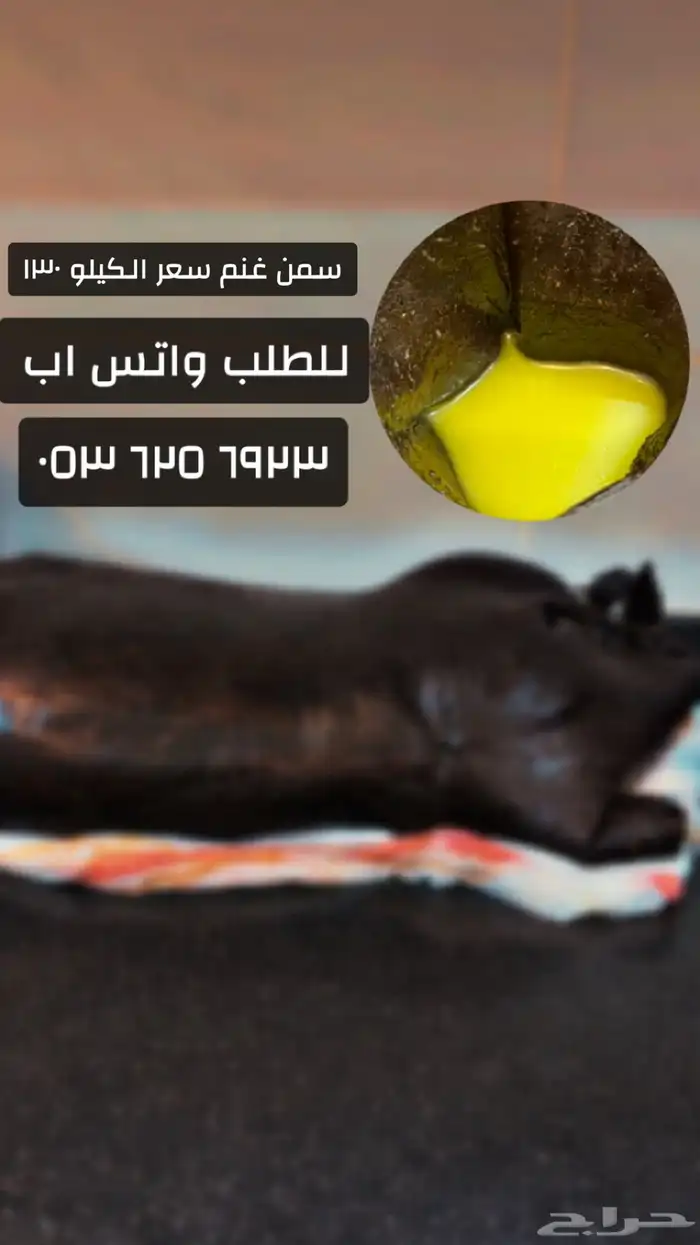 سمن غنم 0