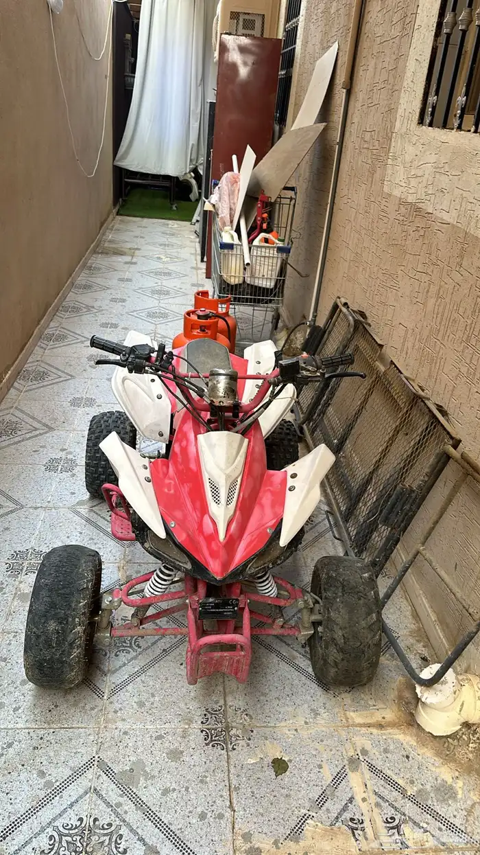 دباب فراشه للبيع 0