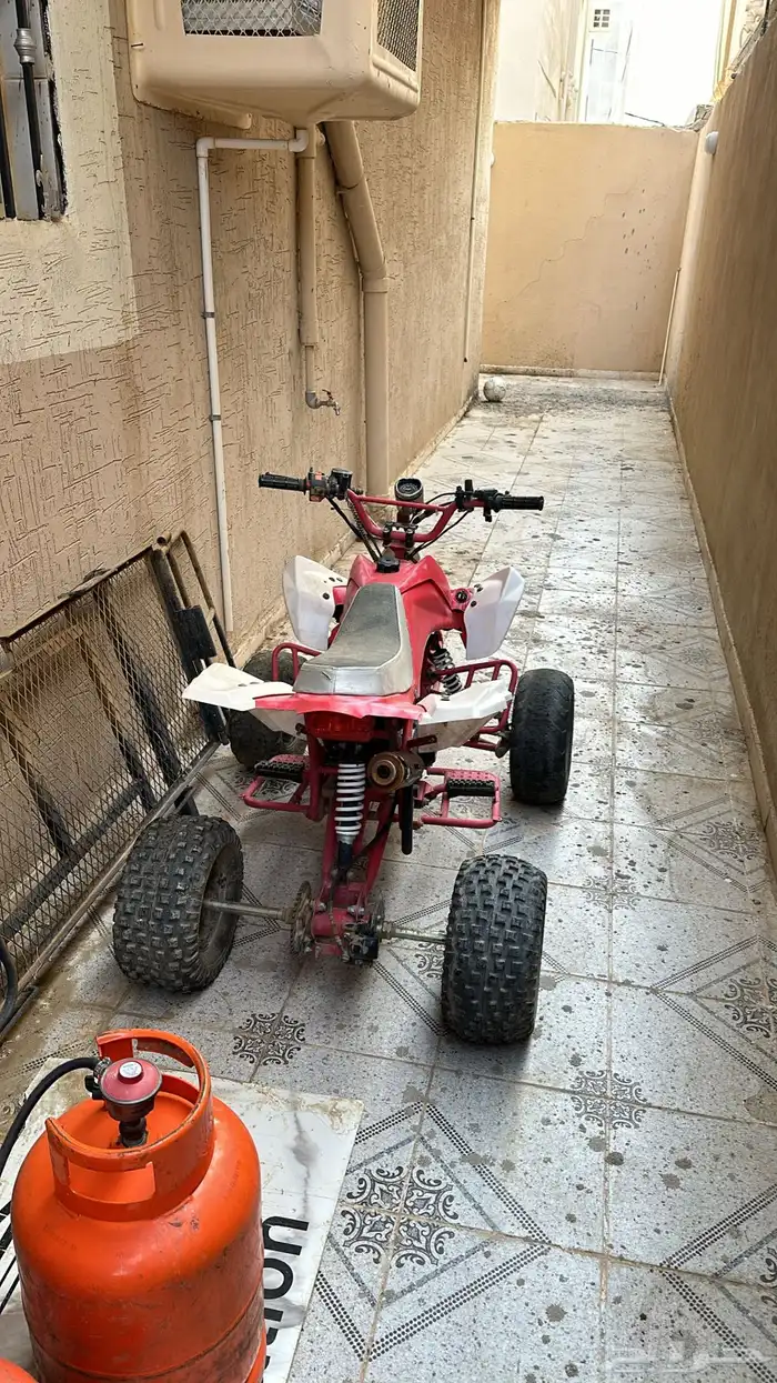 دباب فراشه للبيع 1