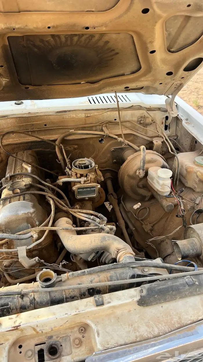 ددسن للبيع لوحه مميزه . 5