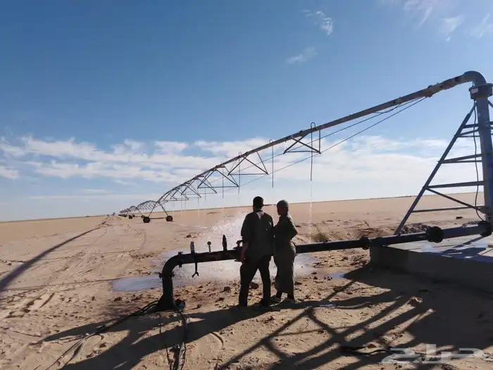 شارع يحي المعلمي 60 مع 80 27