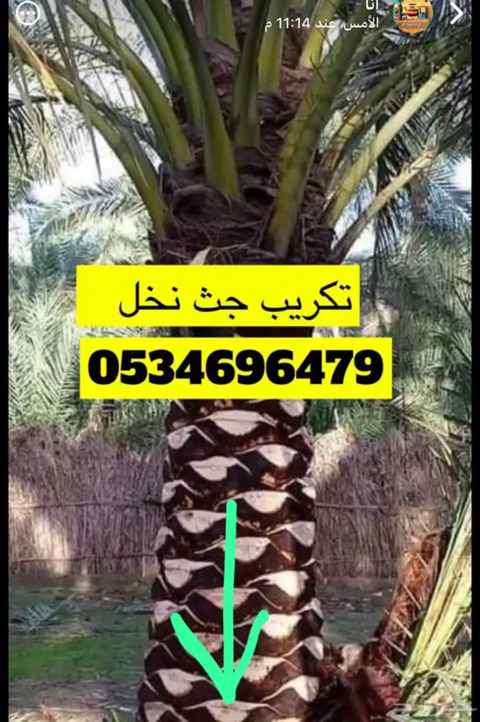 مصري محترف يجث ويكرب 3