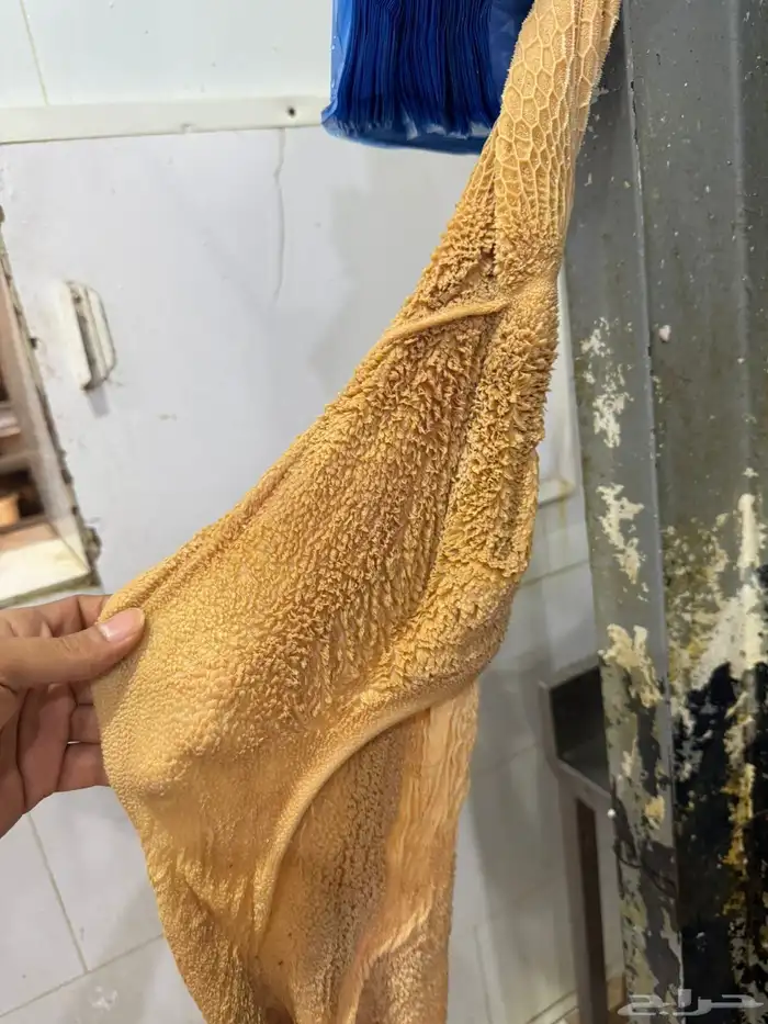 ذبايح طليان حريه وتيوس عوارض وسواكن مرابي على الشعير وبرسم 4