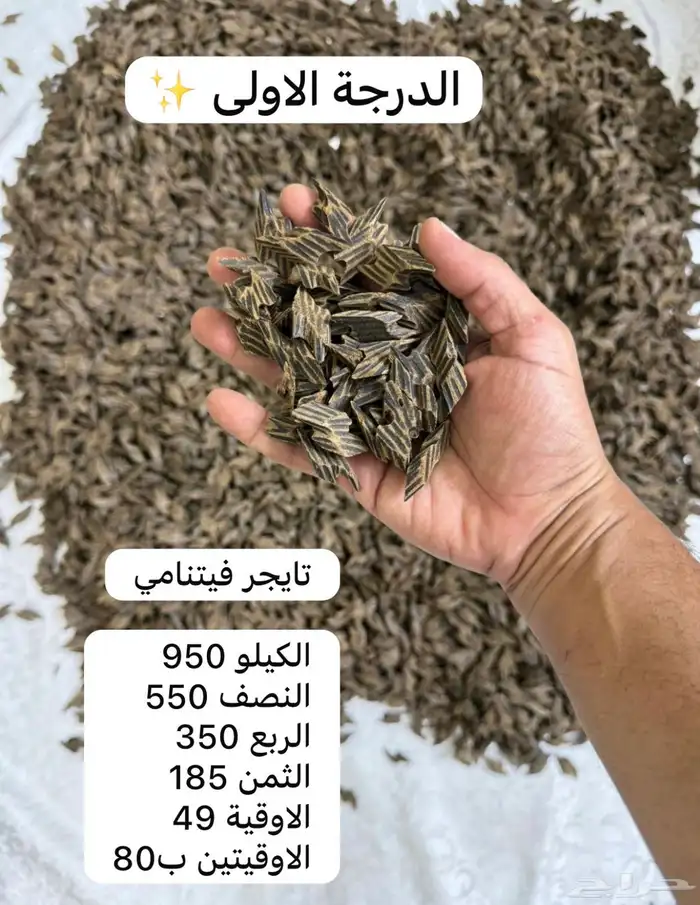 عود تايجر 0