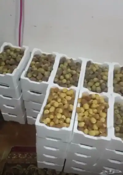 مزرعة للبيع الرياض_المزاحمية_نساح_الصدر الاعلي 18