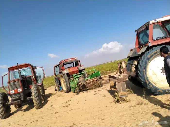 شارع يحي المعلمي 60 مع 80 17