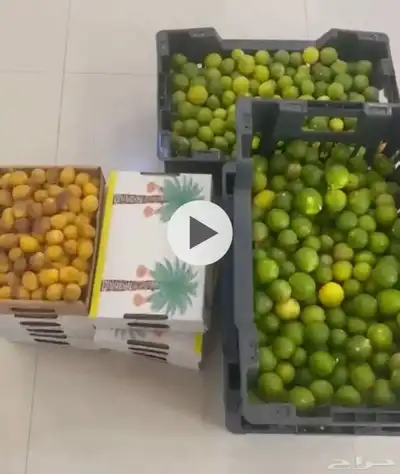 مزرعة للبيع الرياض_المزاحمية_نساح_الصدر الاعلي 19