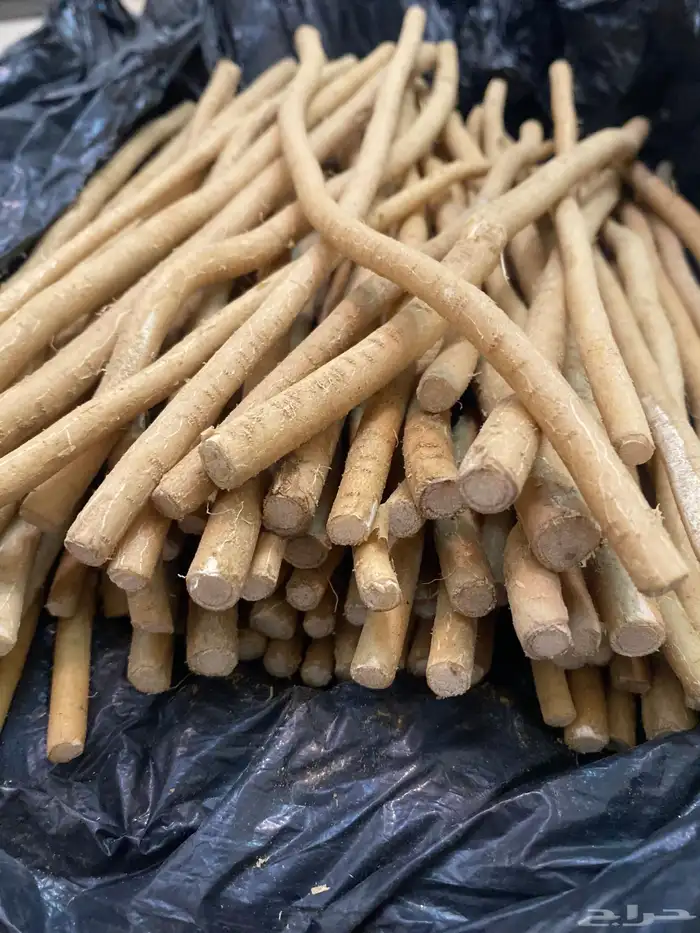 مساويك طيبه 1