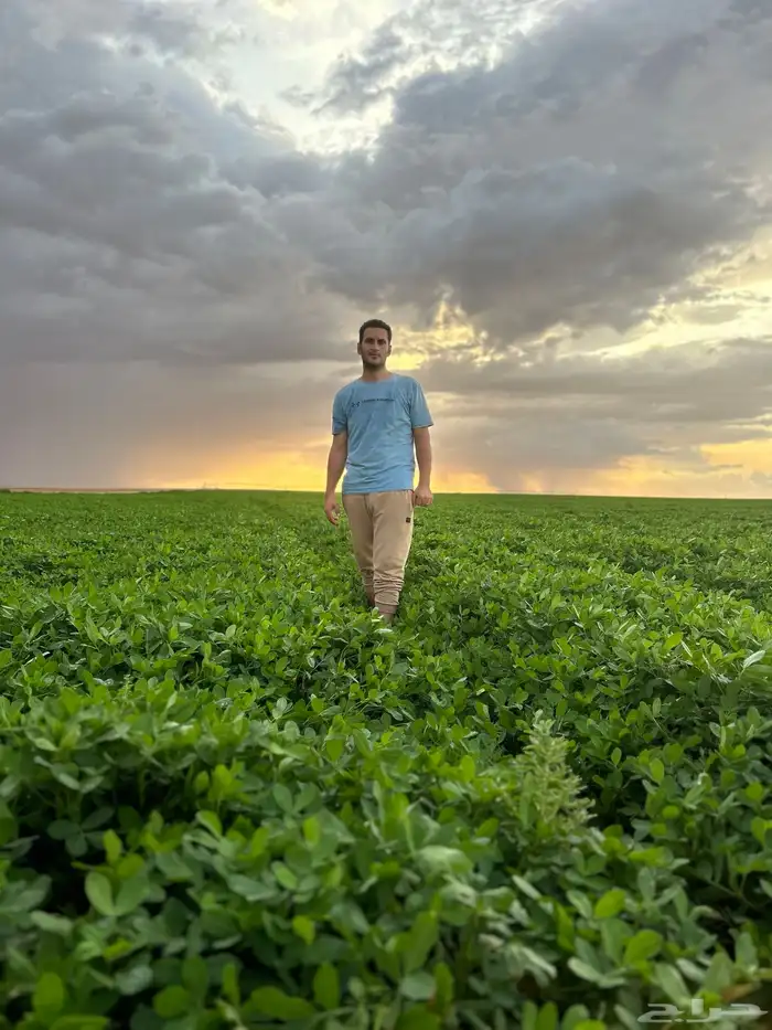 شارع يحي المعلمي 60 مع 80 1