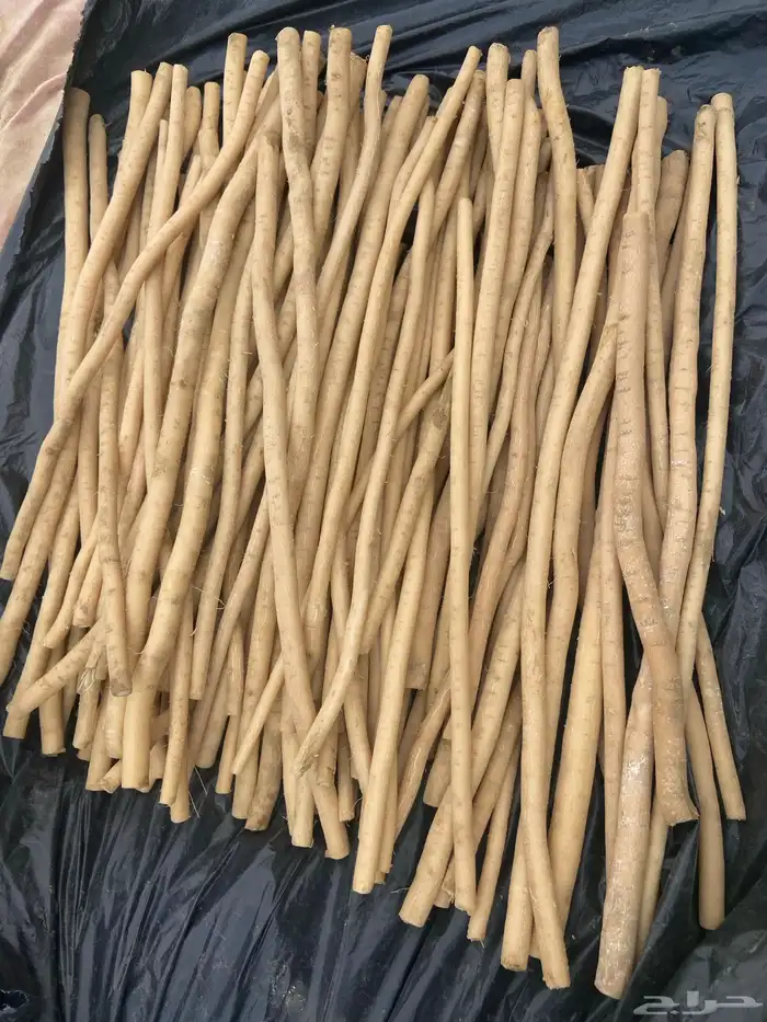 مساويك ملكي ابو نحش طازجه 12