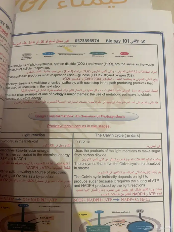 ملازم جامعة جدة 9