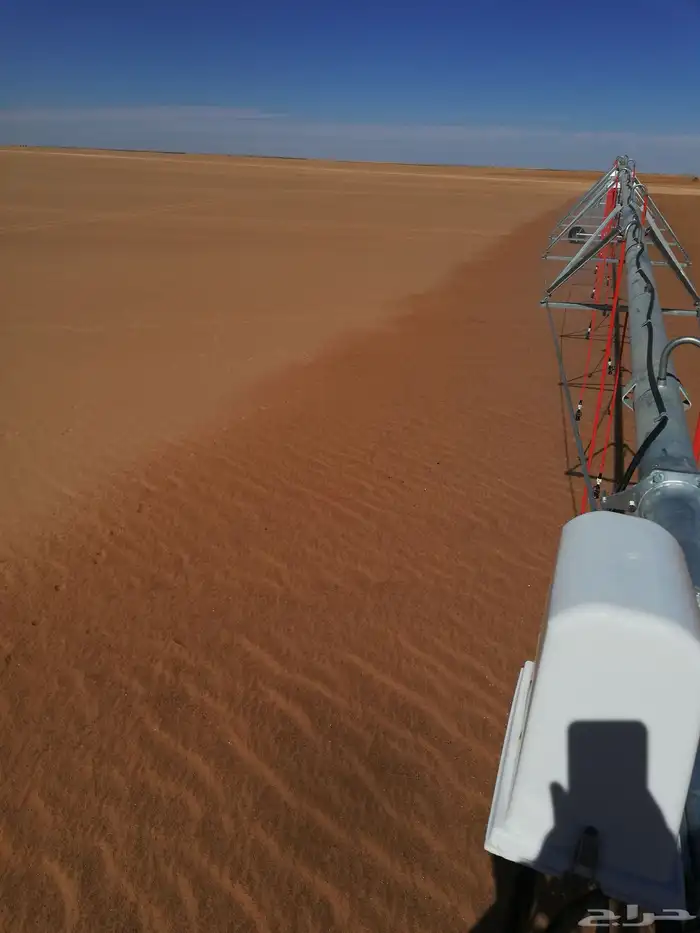 شارع يحي المعلمي 60 مع 80 42