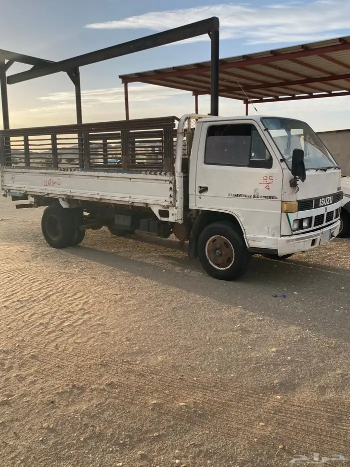 دينا ايسوزو مديل 93 2