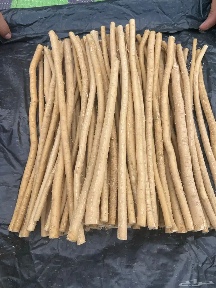 مساويك ملكي ابو نحش طازجه 7