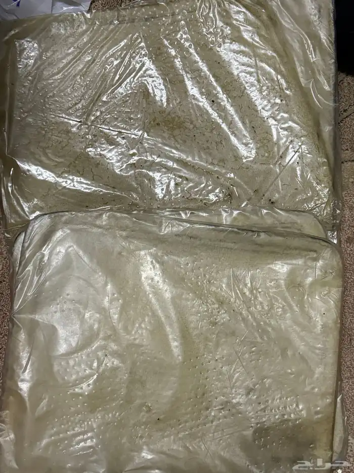 فورد 2012 فيكتوريا ماركيز 0