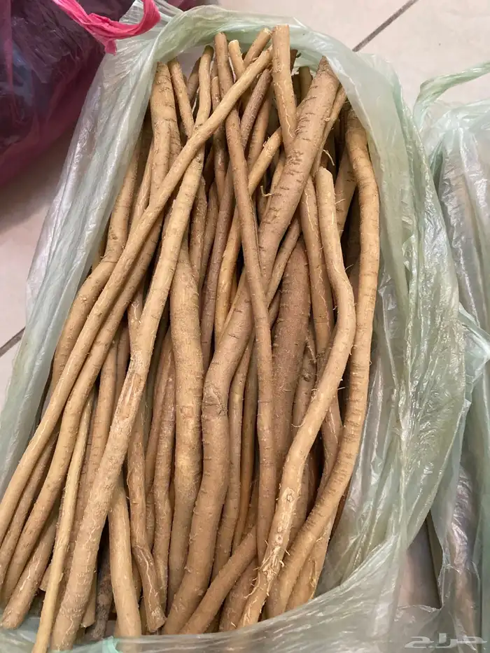 مساويك طيبه 3