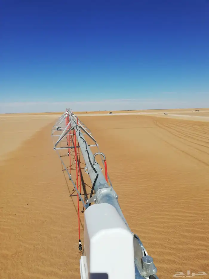 شارع يحي المعلمي 60 مع 80 41