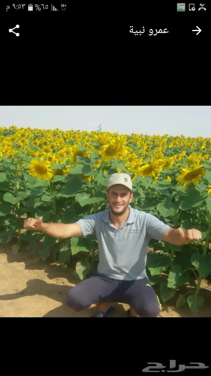 شارع يحي المعلمي 60 مع 80 28