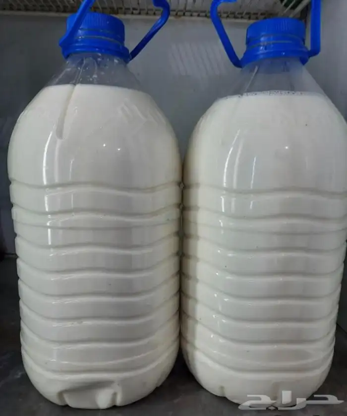 حليب ماعز طازج ( رعي بري) 0