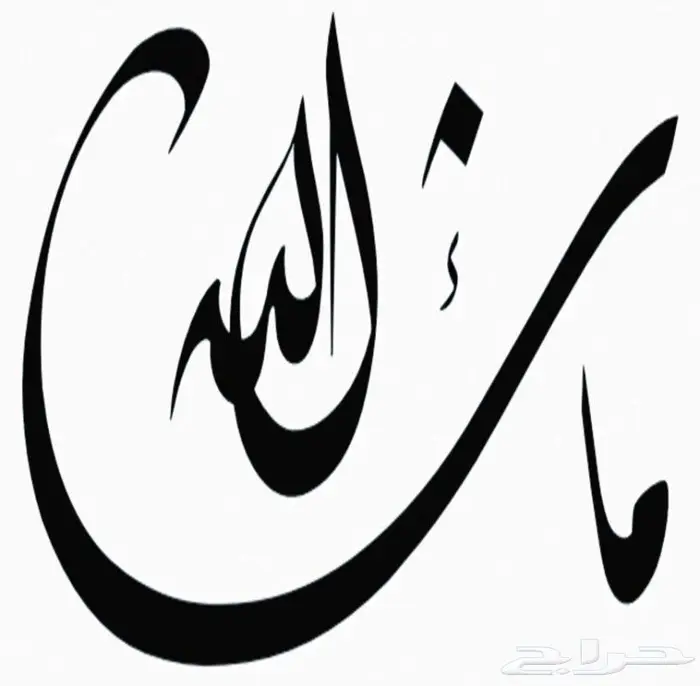 مباعه _ راف فور _ الموديل 2016 _ فل كامل 31