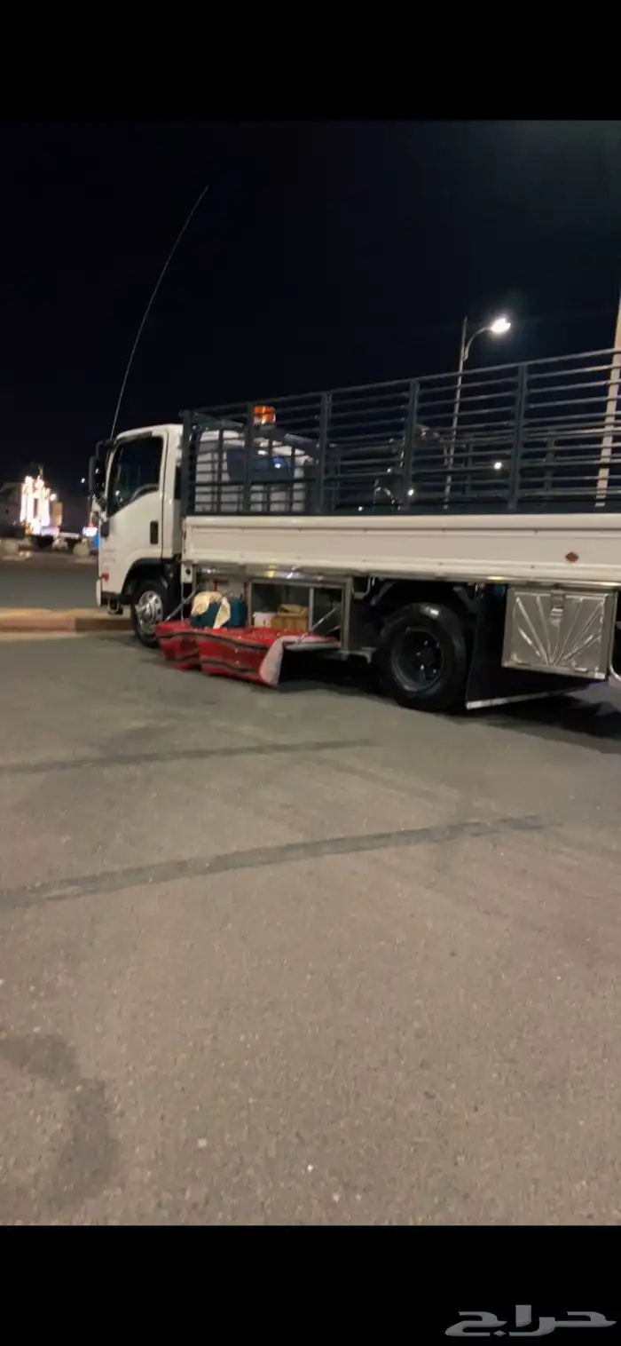 دينا دنه نقل 1