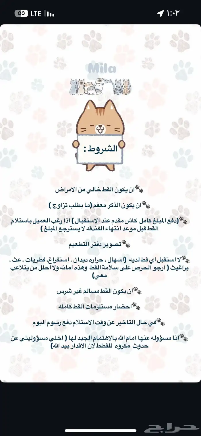 فندقة قطط الحجوزات متاحه الان 2