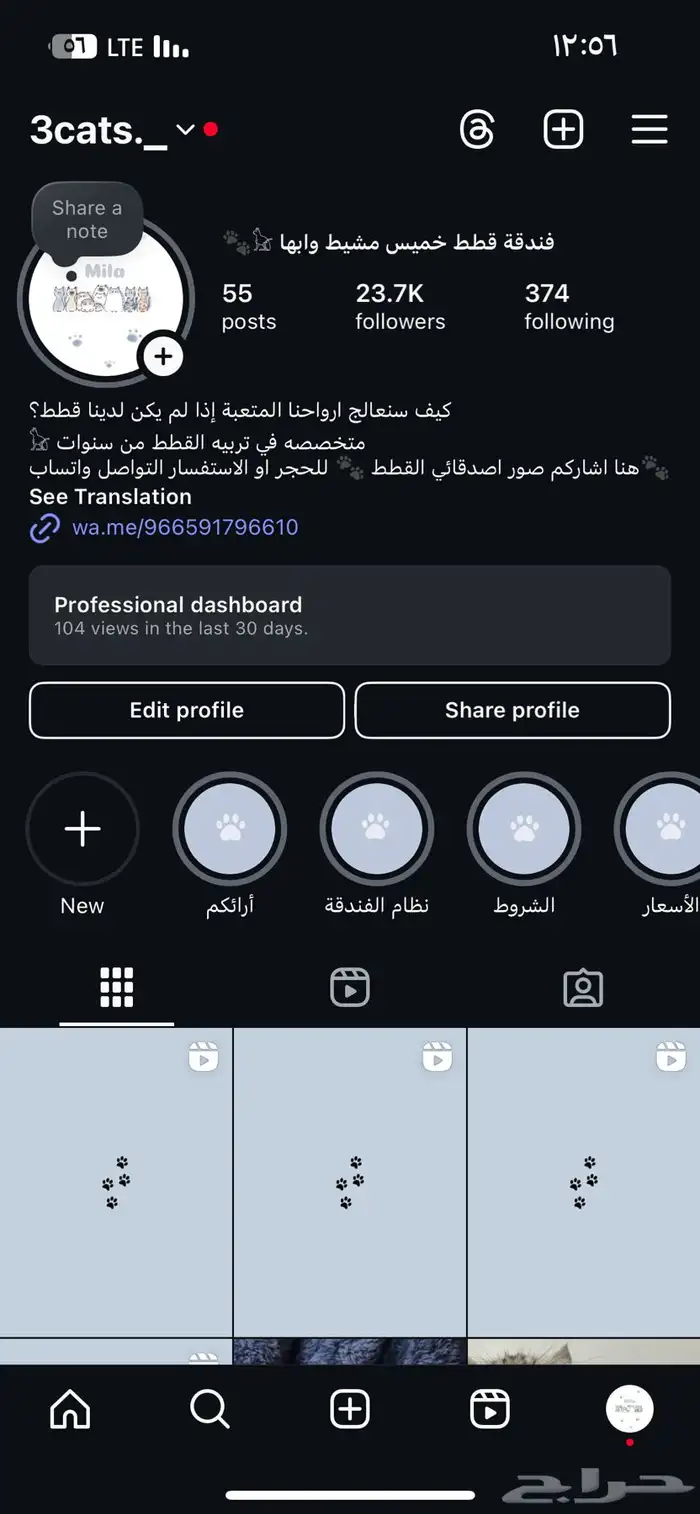 فندقة قطط الحجوزات متاحه الان 1