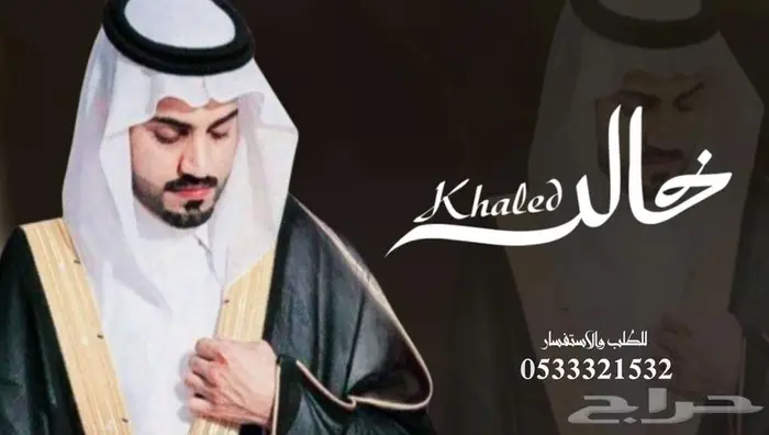 منشد شيلات شاعر جزل 0