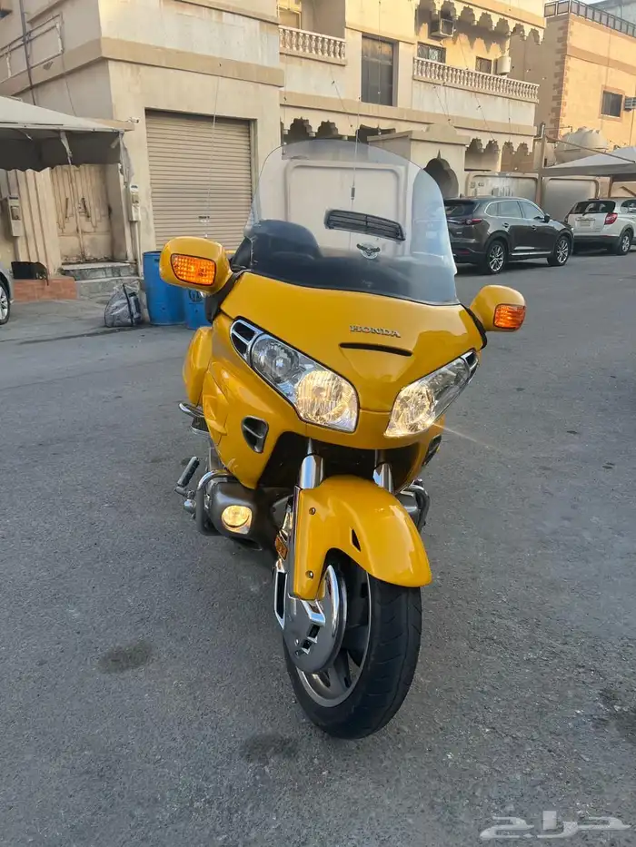 القطيف 0