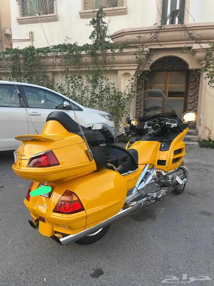 القطيف 2
