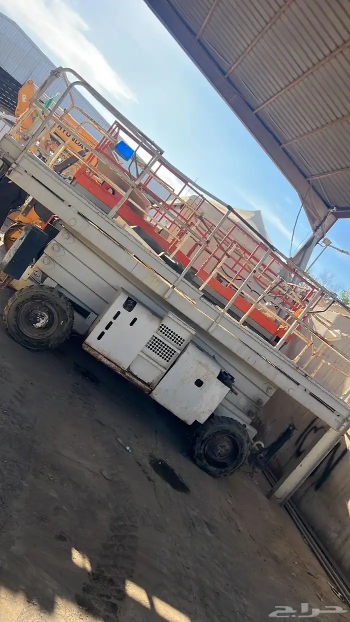 سيزر لفت للبيع جميع الاحجام 5