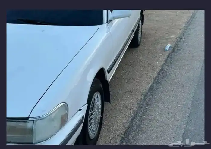 الطايف عشيره 0