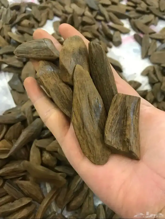 افضل مروكي محسن 1