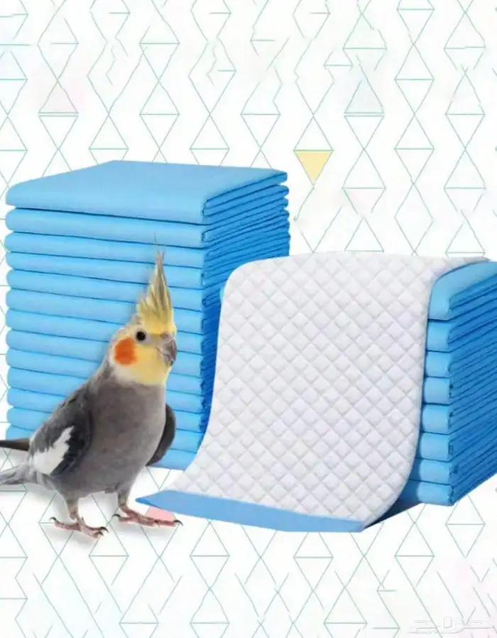 متجر Modi Birds مودي للحيوانات الاليفة 1
