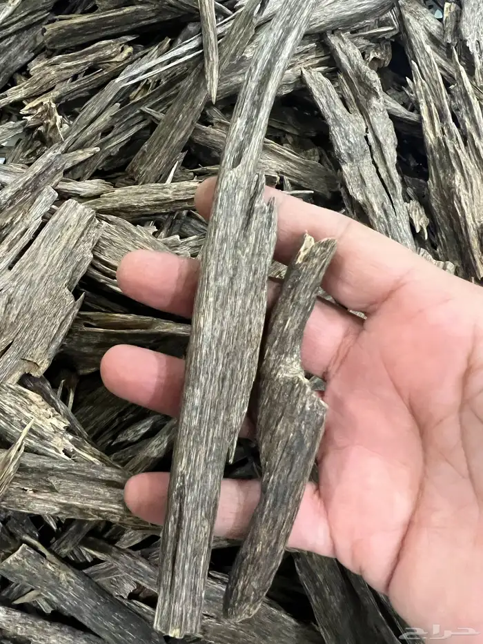 عود هندي منيبور دبل وتربل 2