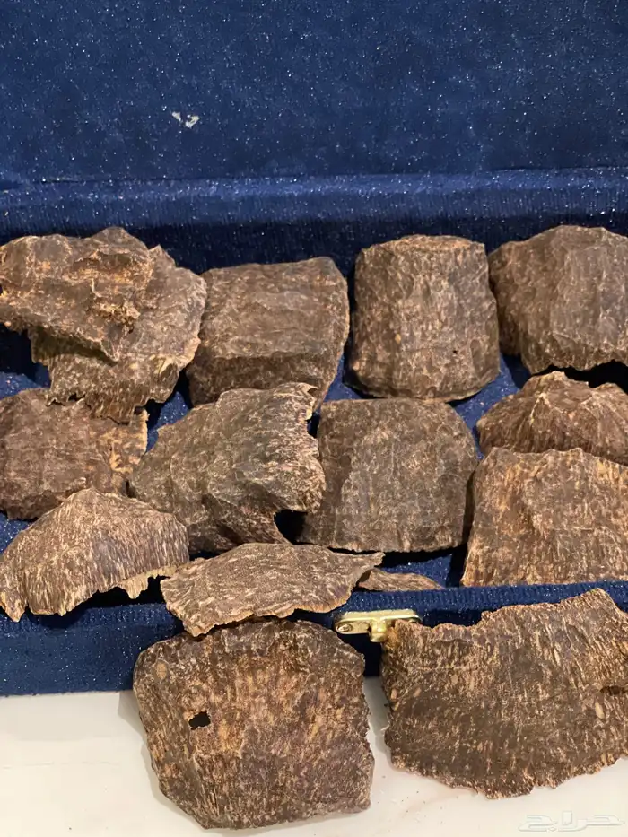 عود بورمي VIP تربل سوبر نكهة بخورية وسويتية ( مباع ) 0