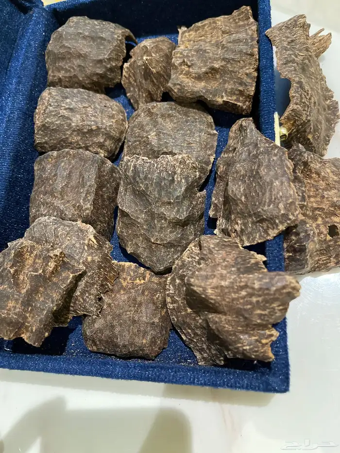 عود بورمي VIP تربل سوبر نكهة بخورية وسويتية ( مباع ) 1