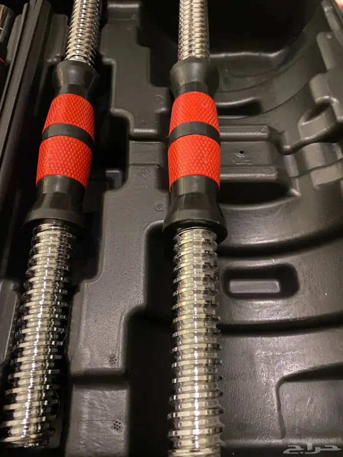 دامبل دانبل حديد اثقال 2