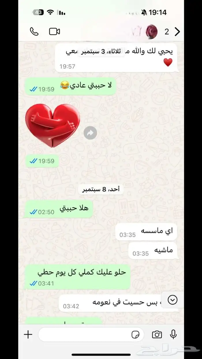 خلطات مغربية مضمونه 21