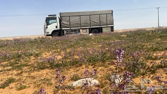 دنا دنا نقل العفش ولبضايع جميع نحا المملكه 0