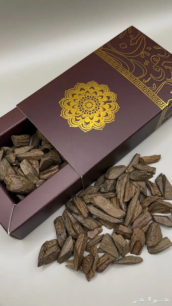 دقة مروكي 1
