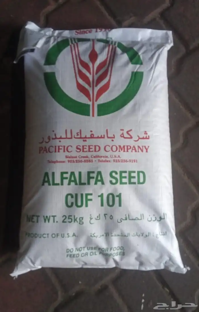 متوفر بذور برسيم وطني وامريكي واسباني اف1 0