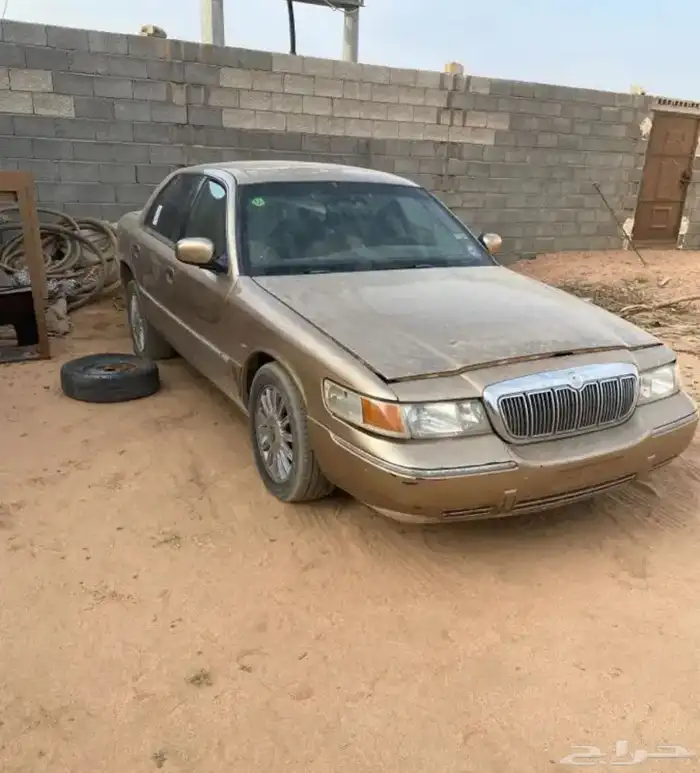 الطايف عشيره 0
